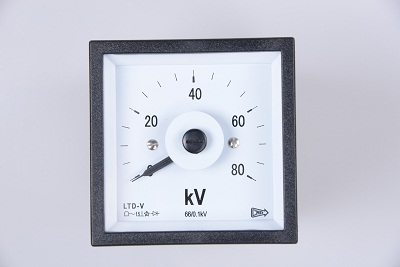 LTD-V电压表6.JPG